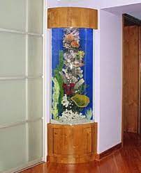 Buy your planted freshwater fish tank or saltwater reef aquarium . 14 Best Octopus Tank Ideas Aquarium Stand Diy Aquarium Fish Tank Stand