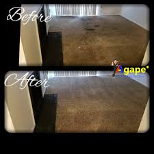 agape carpet color restoration