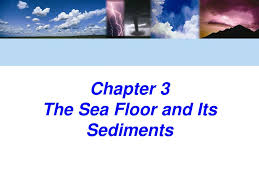 sea floor and its sediments