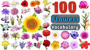 flowers voary in english ll 100