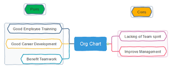 Functional Org Chart Definition Pons And Cons Org Charting