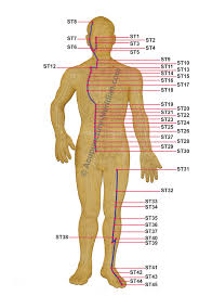 Stomach Meridian Acupuncture