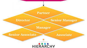 Pricewaterhousecoopers Pwc Career Hierarchy Chart