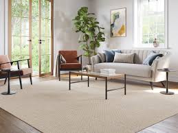 mold and mildew on a natural fiber rug