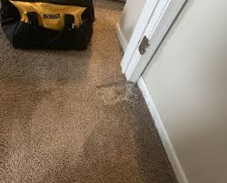 pet damage repair premier carpet cleaning