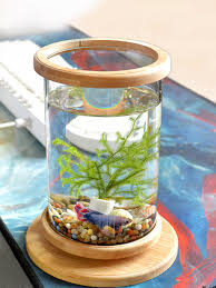 personalhomed fish tank fish aquarium