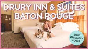 drury inn and suites baton rouge pet