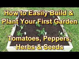Plant Your First Vegetable Garden