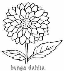 Tentunya sketsa bunga matahari ini bisa anda dapatkan secara gratis untuk dilakukan pewarnaan dalam hal pembelajaran kepada anak anda. Kumpulan Mewarnai Gambar Bunga Indonesia Alamendah S Blog