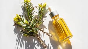 tree oil for skin uses and benefits mysa