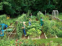 vegetable garden planner