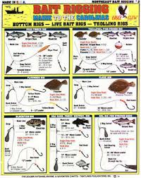 Saltwater New England Bait Rigging Chart Tightline Tightlines Publications 2 738875000299 Ebay