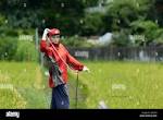 Sporty mannequin scarecrow in rice field, Ji