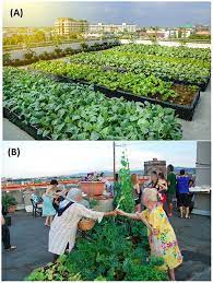 Farming On Top Rooftop Agriculture For