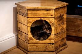 fabriquer une maison pour votre chat