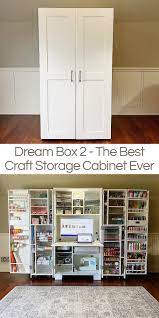 the best craft storage cabinet ever