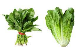 spinach and romaine lettuce