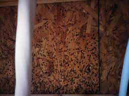 It is not rare for people to turn this empty space into a living room or kitchen). Wood What Are The Black Spots On The Basement Ceiling Itectec