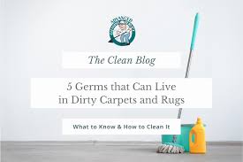dirty carpets and rugs