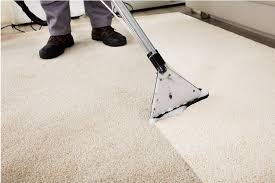 hire a carpet cleaning service