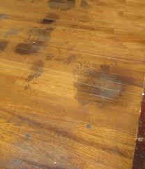 are pets and hardwood floors compatible