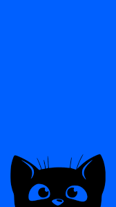 Black Cat Phone Wallpapers 2k 4k For Free