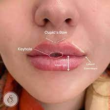 lip fillers beautifully shaped y