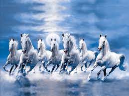 white seven running horse wallpaper hd