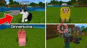 These mobs existed in a previous minecraft version but they were removed soon. Top 5 Minecraft Mobs With Hidden Secrets