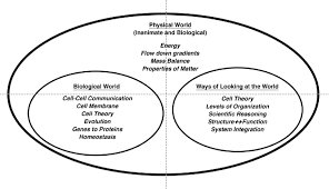 core concepts of physiology