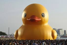 the rubber duck artist must be