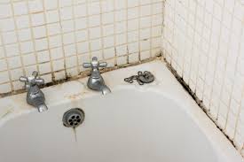 what causes mold growth in bathrooms