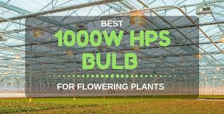 Best 1000w Hps Bulb For Flowering Plants Grow Lights 2018