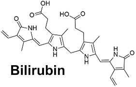 Bilirubin Types Bilirubin Levels Chart And Causes Of High