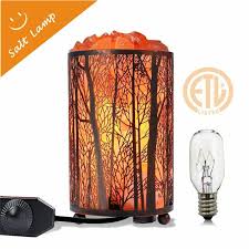 Himalayan Salt Lamp Salt Rock Lamp Natural Night Light In Forest Design Metal B Ebay