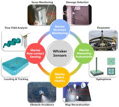 whisker sensors in marine science