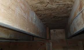 cleaning wood joist in crawl space with