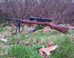 review of the ruger 10 22 22 lr