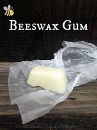beeswax gum simple and seasonal