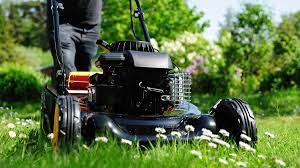 Lawnmower Won't Start? Here's what to do. - AMSOIL Blog