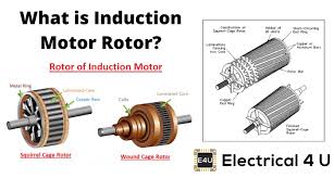 induction motor rotor electrical4u