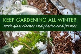 Growing Season With Cloches And Cold Frames