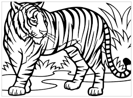 Tranh cho bé tô màu con hổ