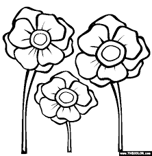 Super Design Ideas Pictures Of Poppies To Colour Coloring Page Free