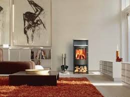 Stoves Fireplace Stoves Gas Stoves