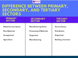 The tertiary economic sector has to do with services to businesses and consumers. Difference Between Primary Secondary And Tertiary Sector With Their Comparisons