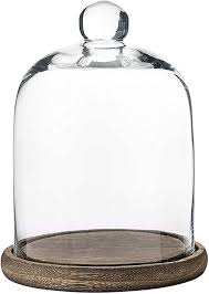 Mygift Clear Glass Bell Jar Cloche Dome