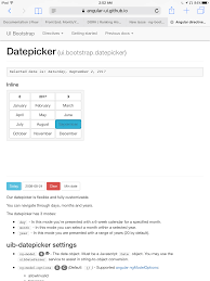 Datepicker Mode Month Year Only Issue 1811 Ng