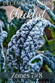 Winter Gardening Checklist Zones 7 8