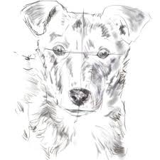Feel free to explore, study and enjoy paintings with paintingvalley.com. Draw A Dog From A Photograph